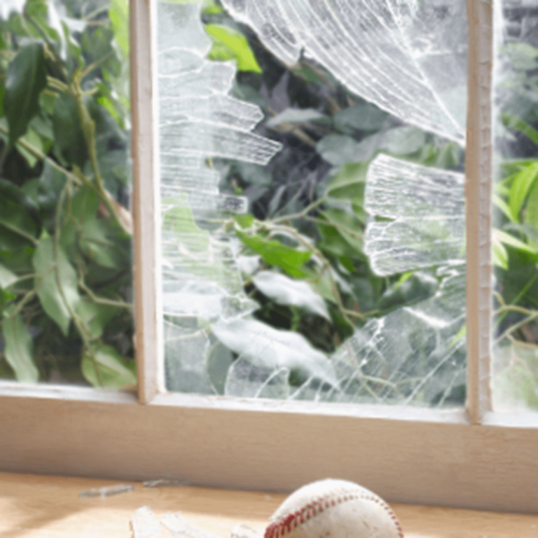 Glass & Window Repair and Replacement